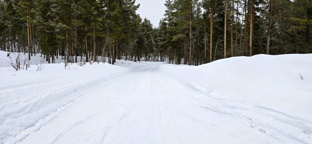 sneeuwlandschap