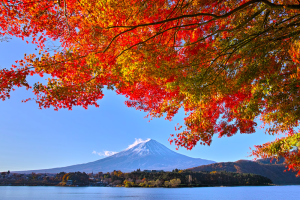 mount fuji japan