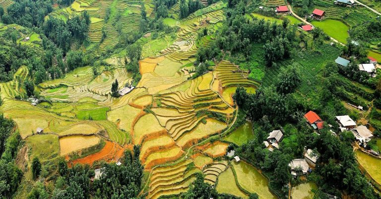 bovenaanzicht rijstvelden in vietnam