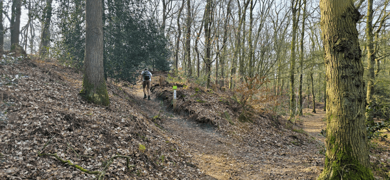 Beerze Bulten vechtdal