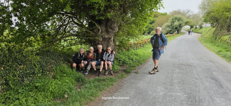 Wandelen camino santiago