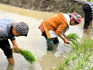 Rondreis Authentiek Noord-Vietnam