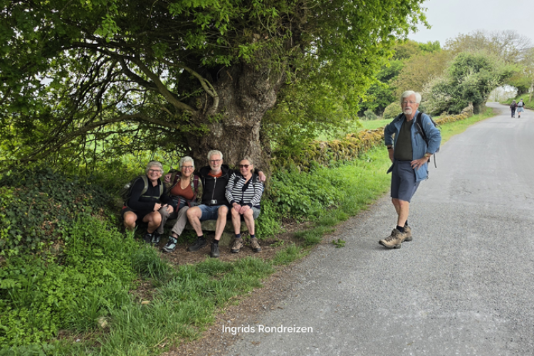 Wandelen camino santiago